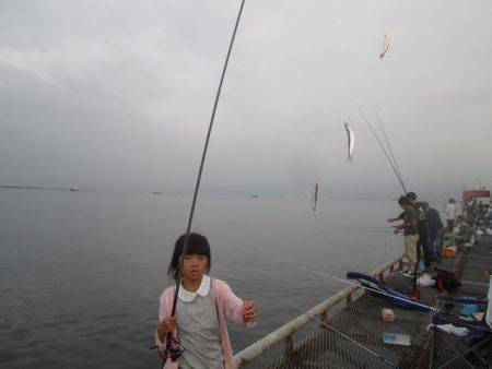 尼崎市立魚つり公園 釣果