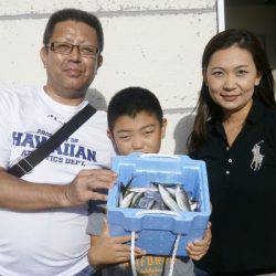 大阪南港海つり公園 釣果