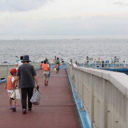 オリジナルメーカー海づり公園(市原市海づり施設) 釣果