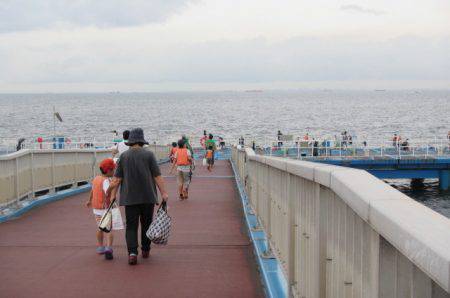 オリジナルメーカー海づり公園(市原市海づり施設) 釣果