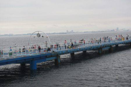 オリジナルメーカー海づり公園(市原市海づり施設) 釣果