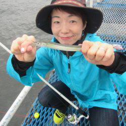 オリジナルメーカー海づり公園(市原市海づり施設) 釣果