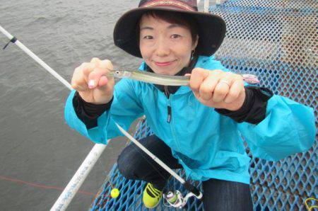 オリジナルメーカー海づり公園(市原市海づり施設) 釣果