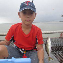 尼崎市立魚つり公園 釣果