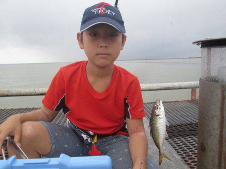 尼崎市立魚つり公園 釣果