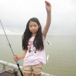 尼崎市立魚つり公園 釣果