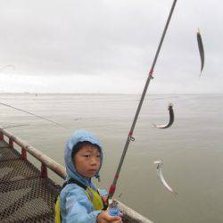 尼崎市立魚つり公園 釣果