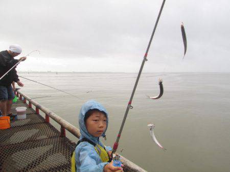 尼崎市立魚つり公園 釣果