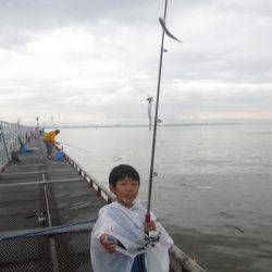尼崎市立魚つり公園 釣果
