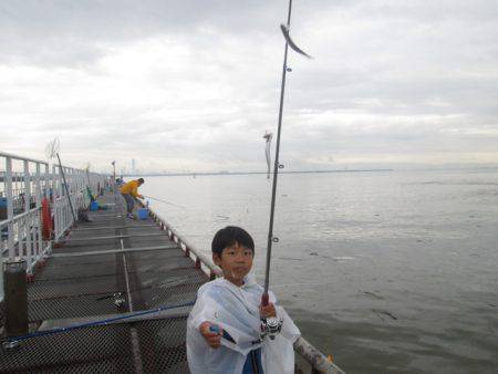 尼崎市立魚つり公園 釣果