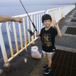 大阪南港海つり公園 釣果