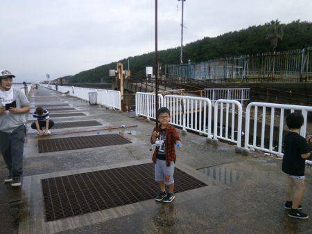 大阪南港海つり公園 釣果