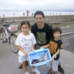 大阪南港海つり公園 釣果