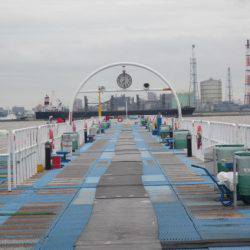 オリジナルメーカー海づり公園(市原市海づり施設) 釣果