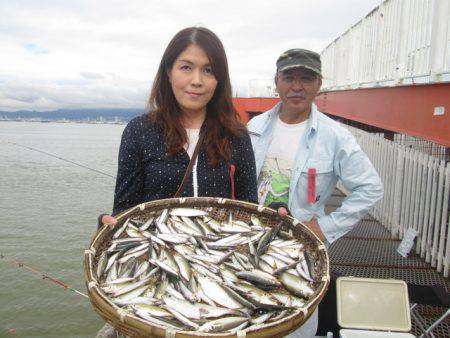 尼崎市立魚つり公園 釣果
