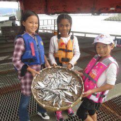 尼崎市立魚つり公園 釣果