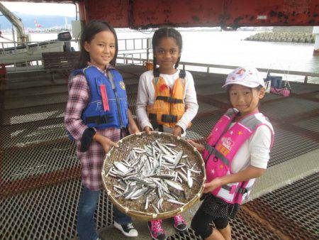 尼崎市立魚つり公園 釣果