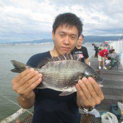 尼崎市立魚つり公園 釣果