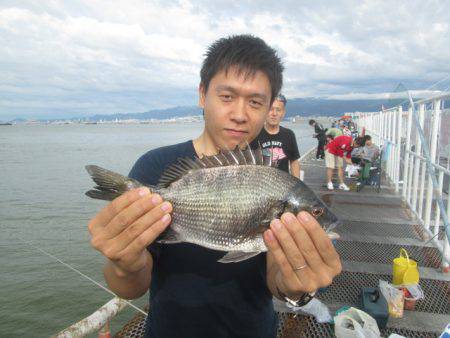 尼崎市立魚つり公園 釣果