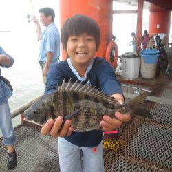 尼崎市立魚つり公園 釣果