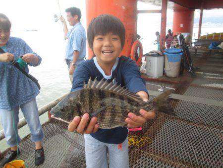 尼崎市立魚つり公園 釣果