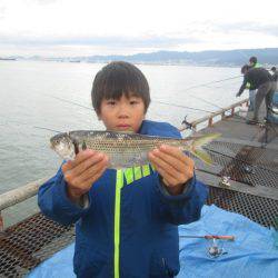 尼崎市立魚つり公園 釣果