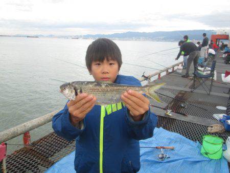 尼崎市立魚つり公園 釣果