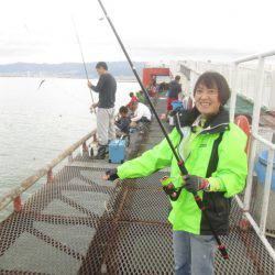 尼崎市立魚つり公園 釣果