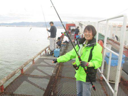 尼崎市立魚つり公園 釣果