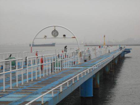 オリジナルメーカー海づり公園(市原市海づり施設) 釣果