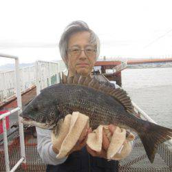 尼崎市立魚つり公園 釣果
