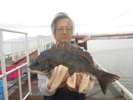 尼崎市立魚つり公園 釣果