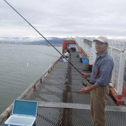 尼崎市立魚つり公園 釣果