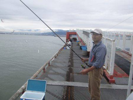 尼崎市立魚つり公園 釣果