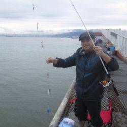 尼崎市立魚つり公園 釣果