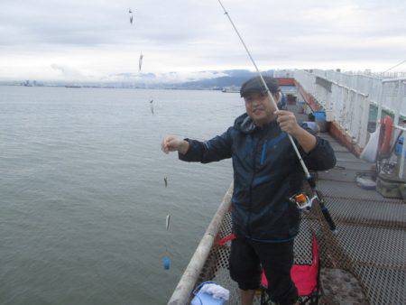 尼崎市立魚つり公園 釣果