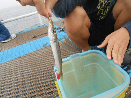 オリジナルメーカー海づり公園(市原市海づり施設) 釣果