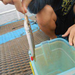 オリジナルメーカー海づり公園(市原市海づり施設) 釣果