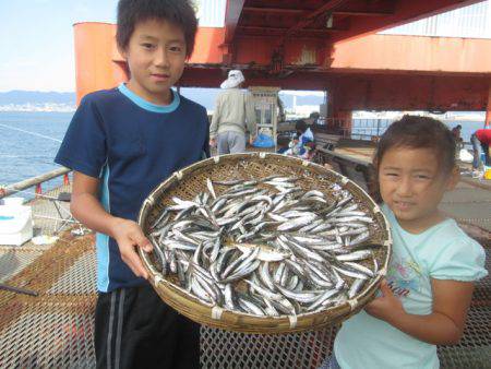尼崎市立魚つり公園 釣果