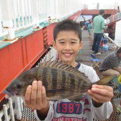 尼崎市立魚つり公園 釣果