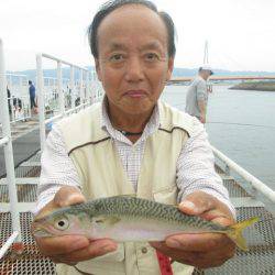 尼崎市立魚つり公園 釣果