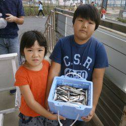 大阪南港海つり公園 釣果