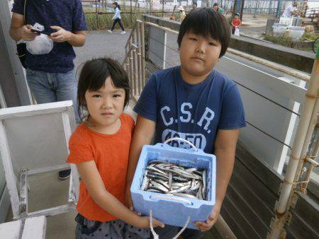 大阪南港海つり公園 釣果