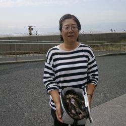 大阪南港海つり公園 釣果