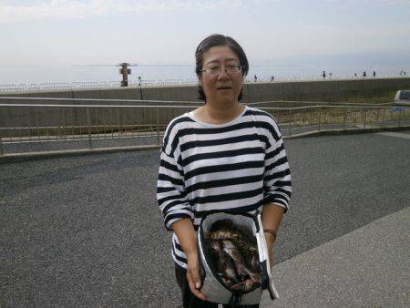 大阪南港海つり公園 釣果