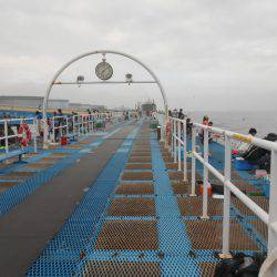 オリジナルメーカー海づり公園(市原市海づり施設) 釣果