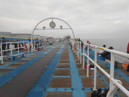 オリジナルメーカー海づり公園(市原市海づり施設) 釣果