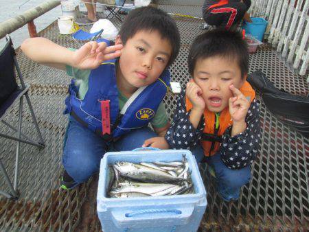 尼崎市立魚つり公園 釣果