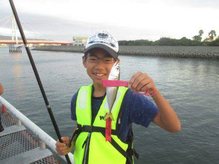 尼崎市立魚つり公園 釣果