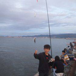 尼崎市立魚つり公園 釣果